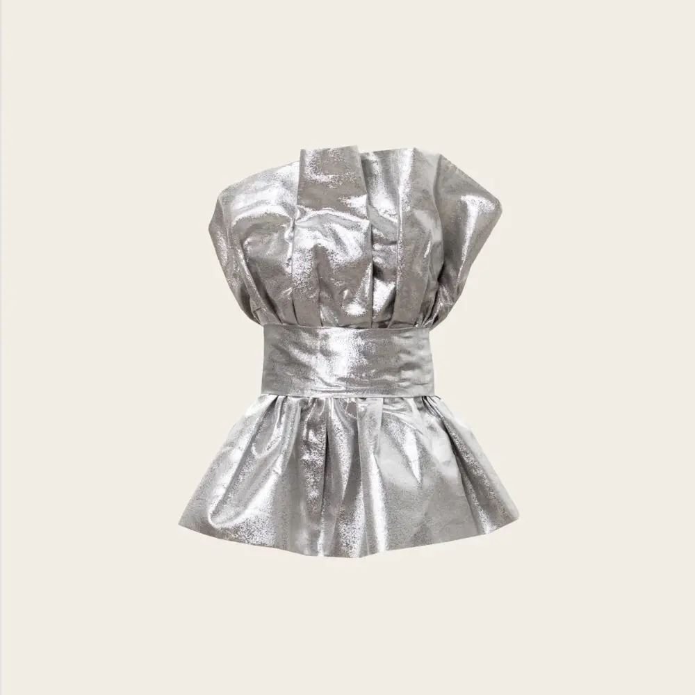 Vanina Shell Silver Organza Bustier (2)