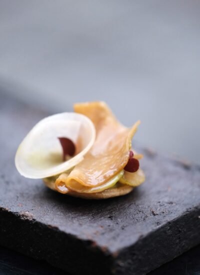 412249008_876451831146754_7160676345186116839_n