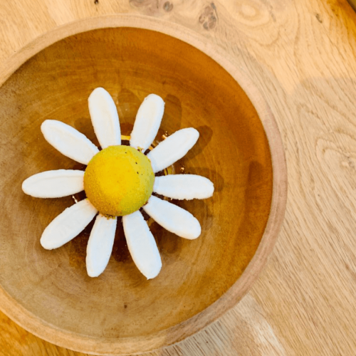 Vanderveen Restaurant Amsterdam