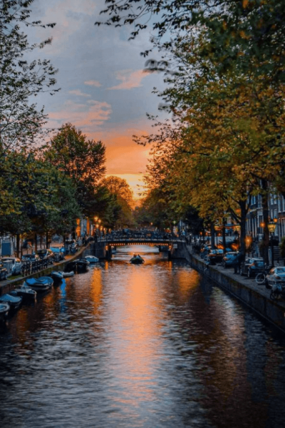 Celia Restaurant Amsterdam